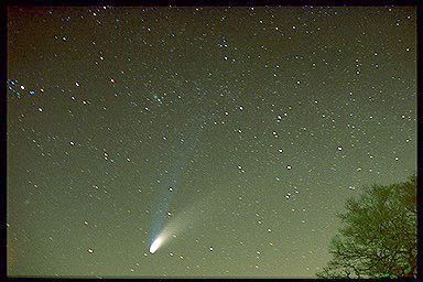 HB Nonad 30/3/97 cooked