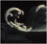 {short description of image}